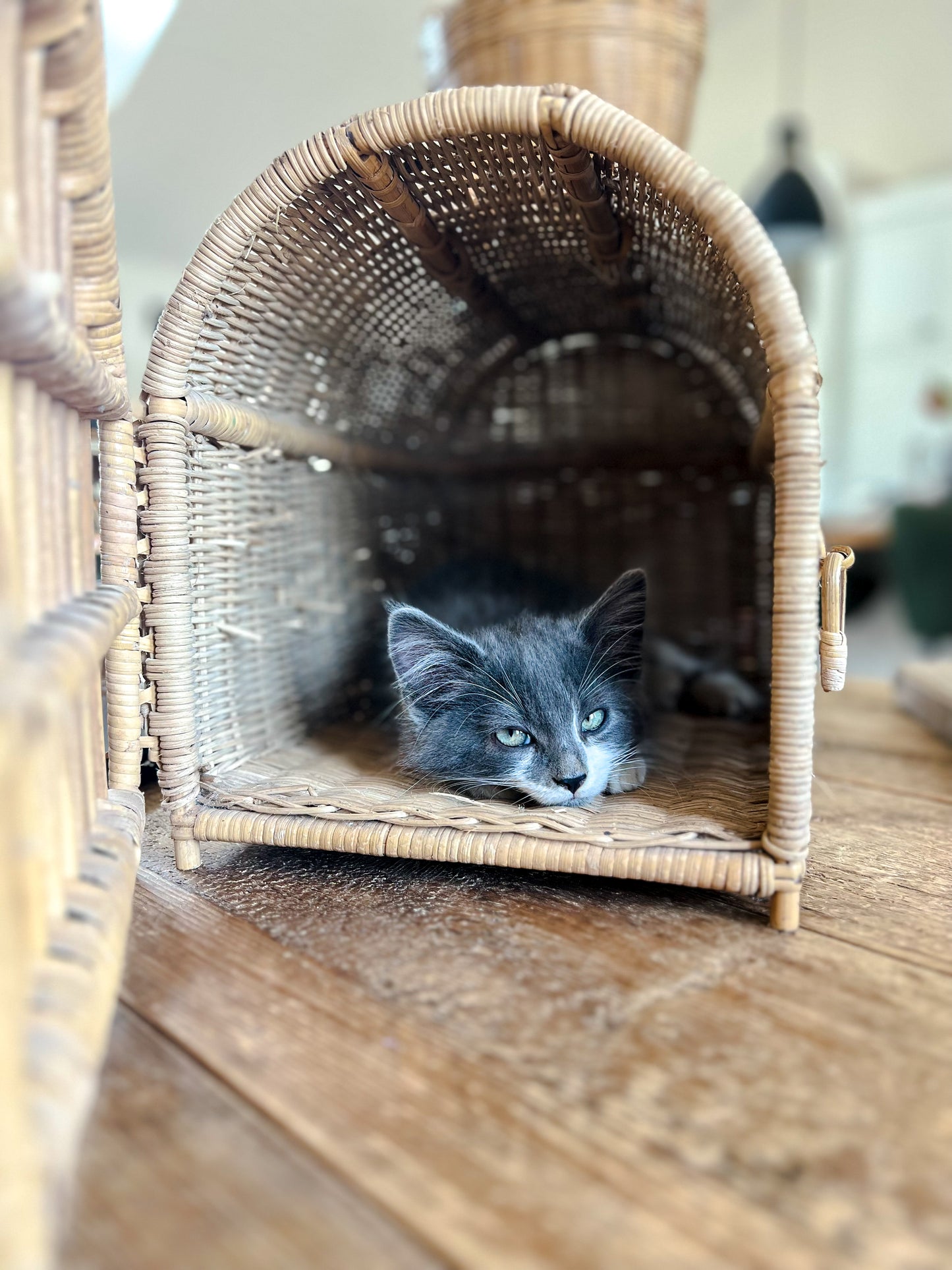 Vintage French Rattan Carrier Basket