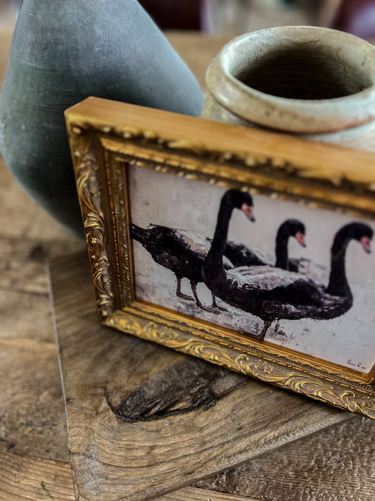 Reproduction French Framed Art: Trio of Black Swans