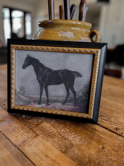 Reproduction French Framed Art: Gilded Horse