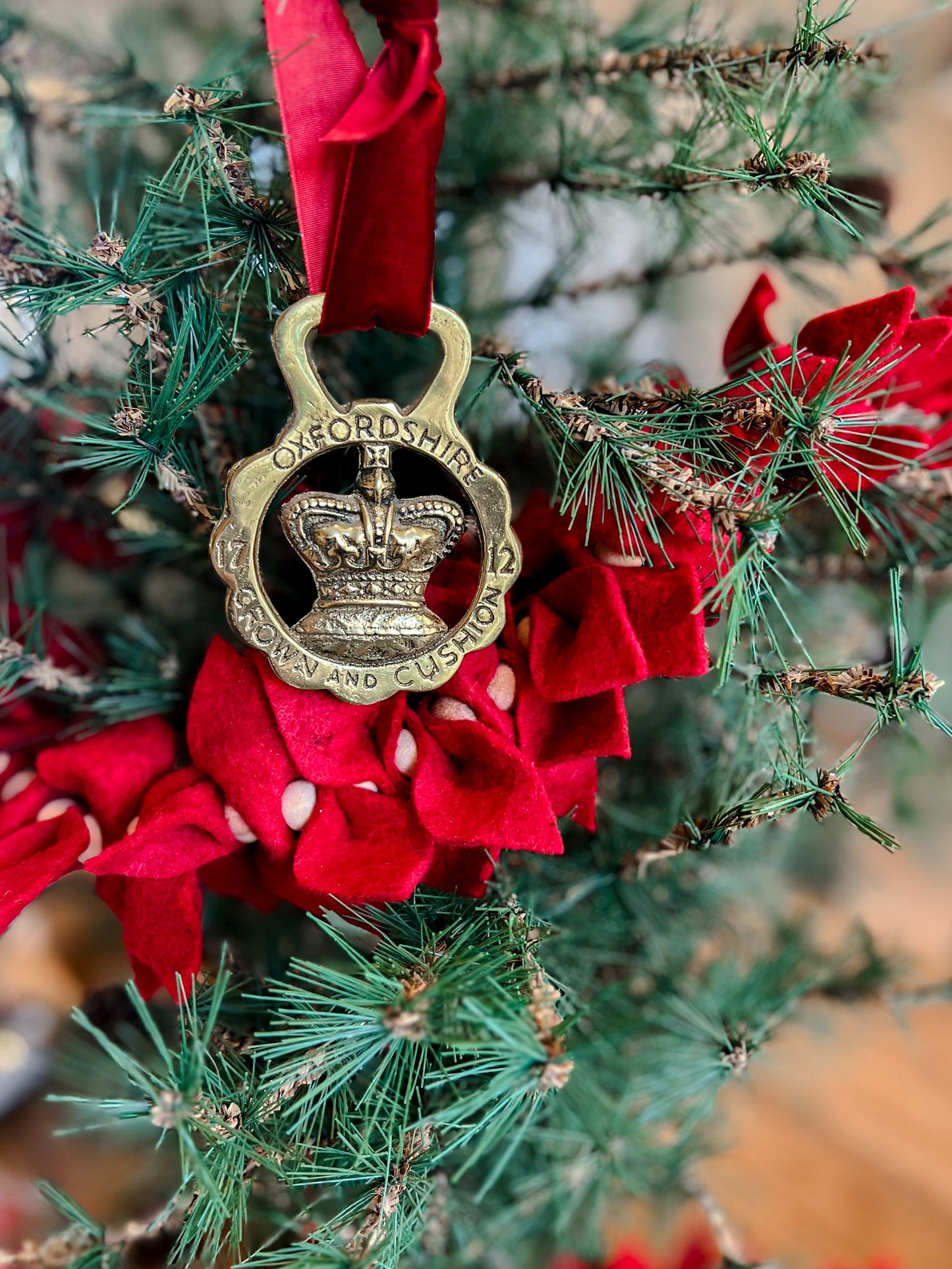 Ornament 21 - Crown and Cushion